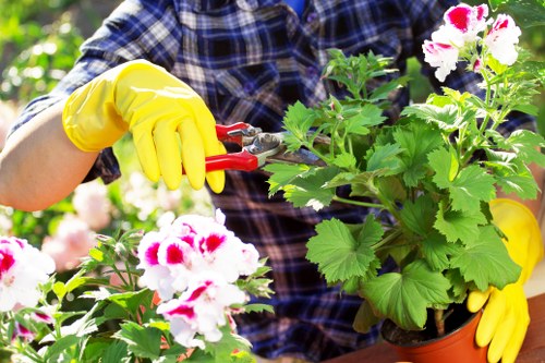 Technician inspecting and maintaining hedge-cutting equipment before use