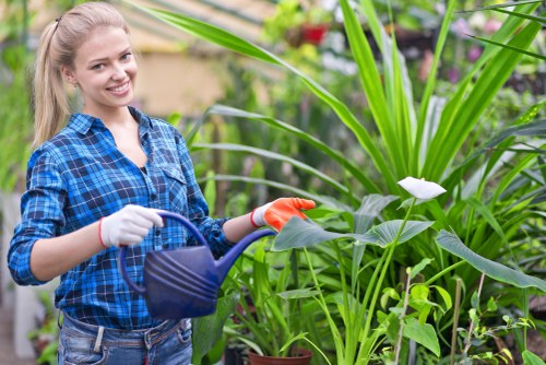 Accessibility icons overlaying a garden hedge to indicate accessible services