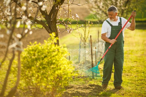 A man with short gray hair, dressed in a white t-shirt and dark green overalls, is standing in a well-maintained garden in Dulwich, using a hand rake to tidy the soil area. The garden features a lush green lawn with a neatly trimmed hedge in the foreground and a flowering tree with pink blossoms behind him. In the background, there is a wire fence along the garden border, with additional trees and shrubbery visible under a clear, sunny sky, suggesting pleasant weather. The scene highlights outdoor gardening and lawn care activities typical of a suburban garden, with natural tones of green, brown, and soft pinks, and the man appears to be performing routine hedge maintenance or soil clearing in a landscaped outdoor space. This image aligns with gardening services offered by Hedge Trimming Dulwich, focused on hedge trimming, lawn care, and general garden upkeep in the Dulwich area.